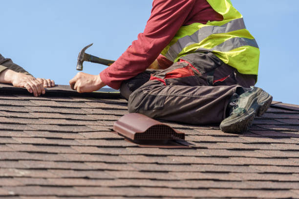 Best Metal Roofing Contractor  in Martin, TN