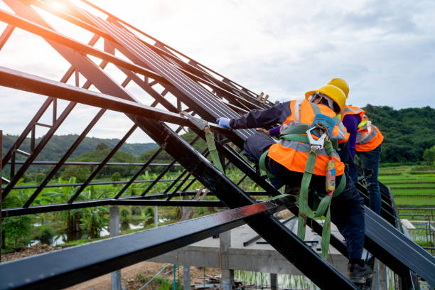 Best Roof Gutter Cleaning  in Martin, TN