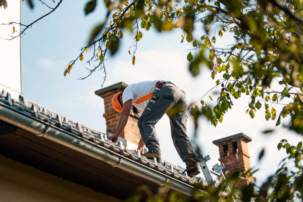 Best Commercial Roofing Services  in Martin, TN