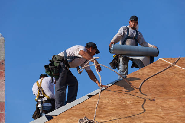 Best New Roof Installation  in Martin, TN
