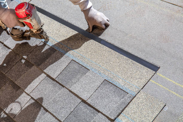 Best Flat Roof Repair Services  in Martin, TN