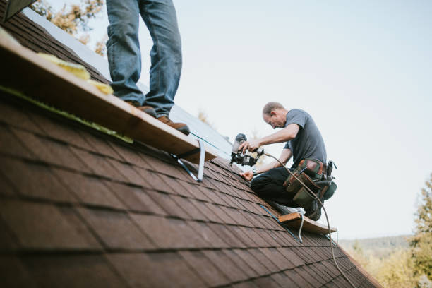 Best Emergency Roof Repair  in Martin, TN